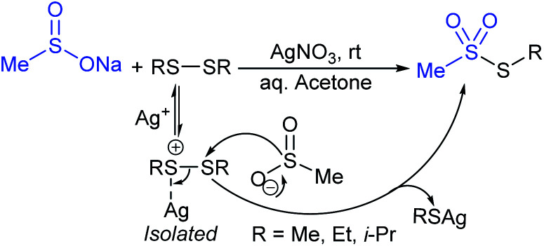 Scheme 13