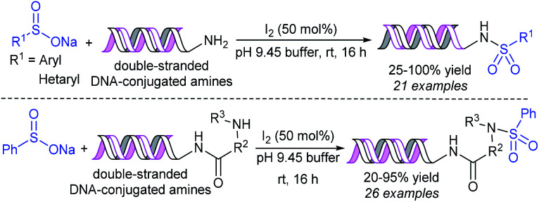 Scheme 23