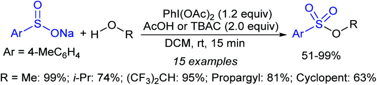 Scheme 263