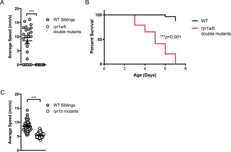 Figure 3—figure supplement 1.