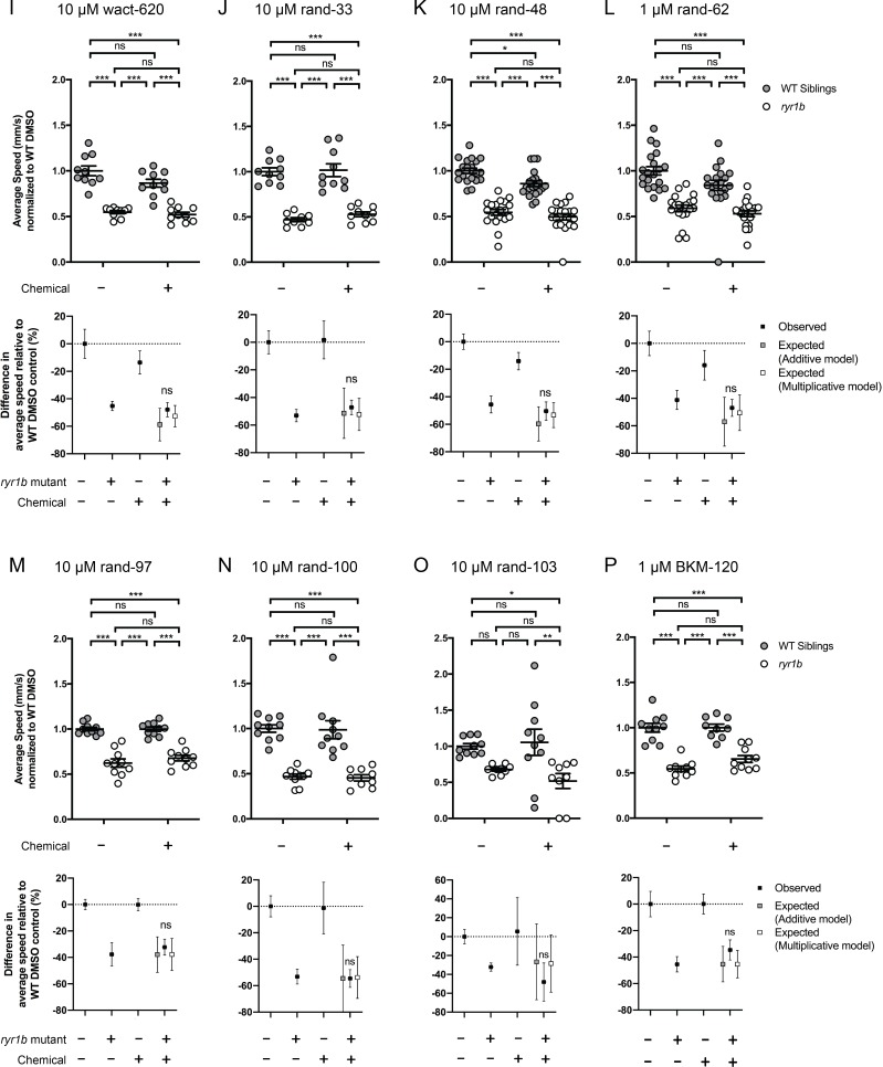 Figure 4—figure supplement 2.