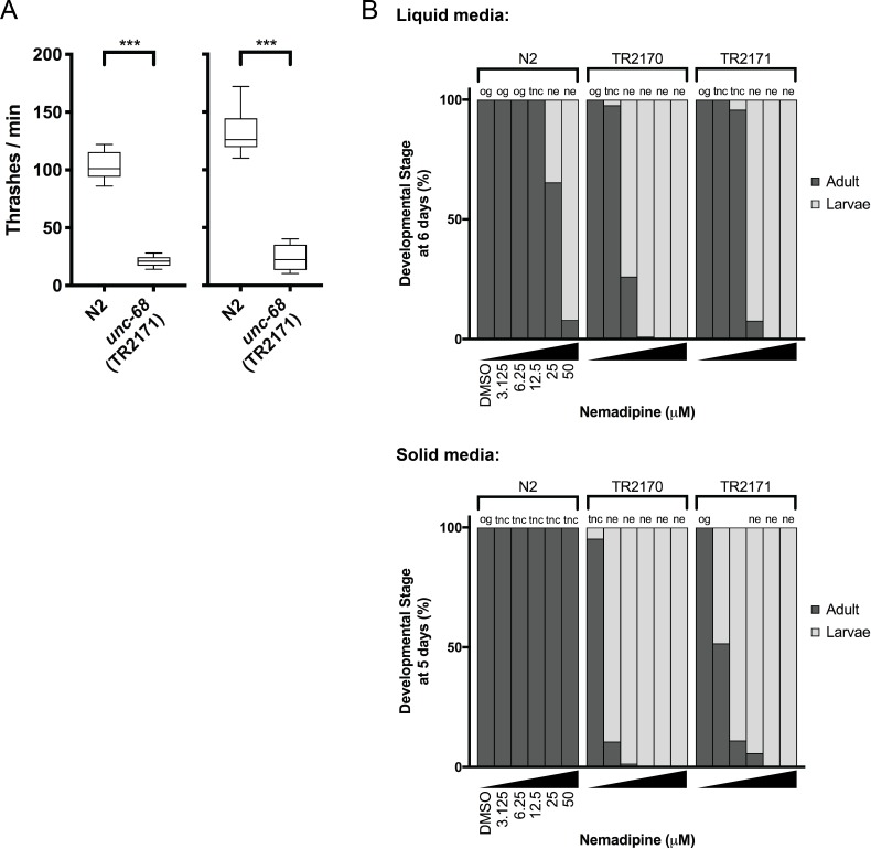 Figure 2—figure supplement 1.