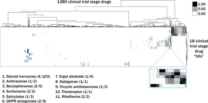 Figure 2—figure supplement 5.