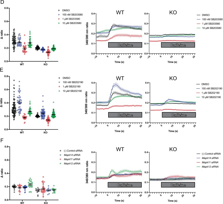 Figure 5—figure supplement 4.