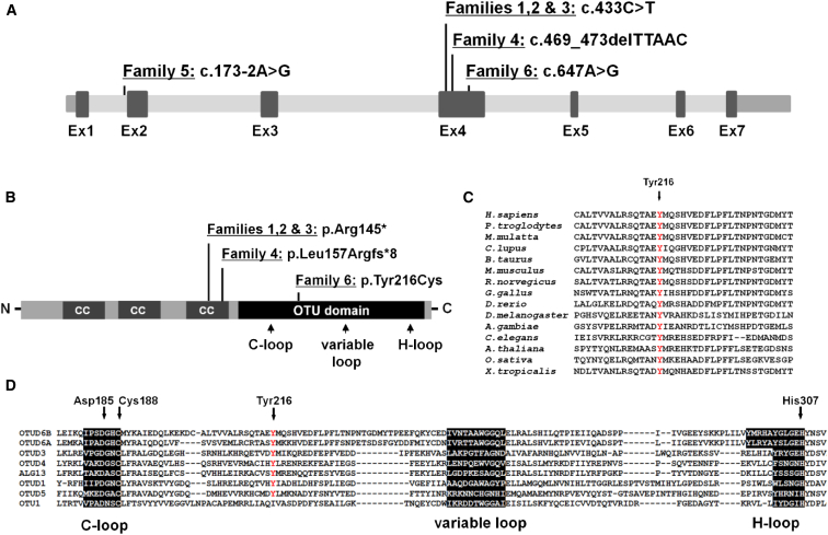 Figure 2