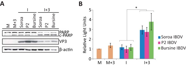 FIG 10