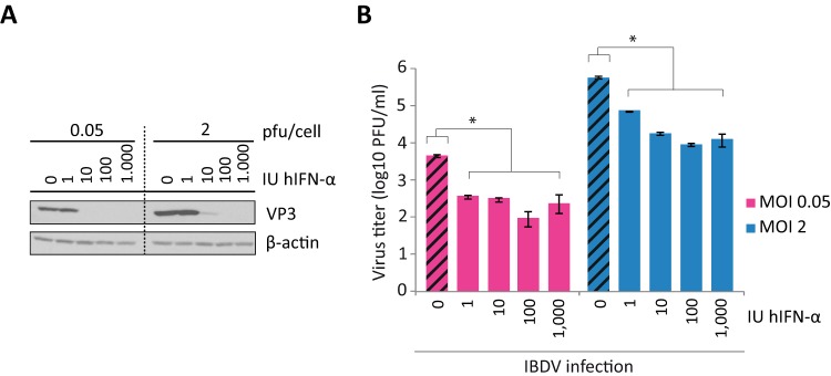 FIG 1