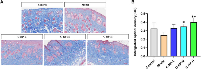 FIGURE 6