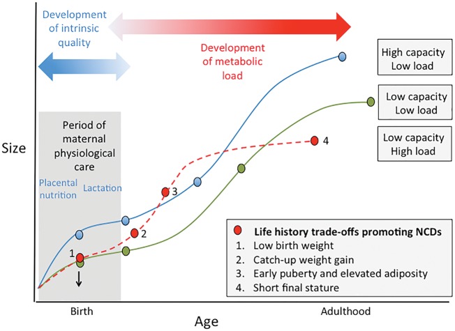 Figure 4.