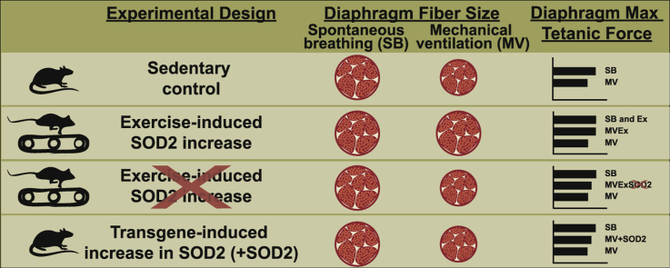 fx1