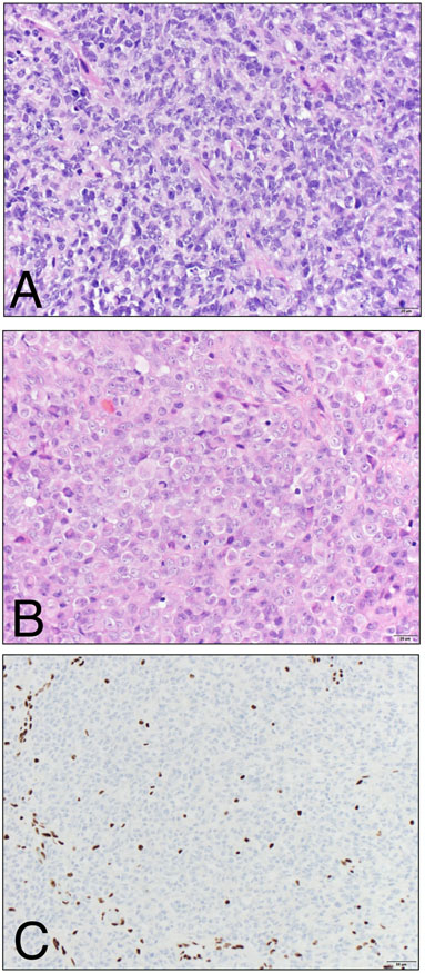 Figure 2.