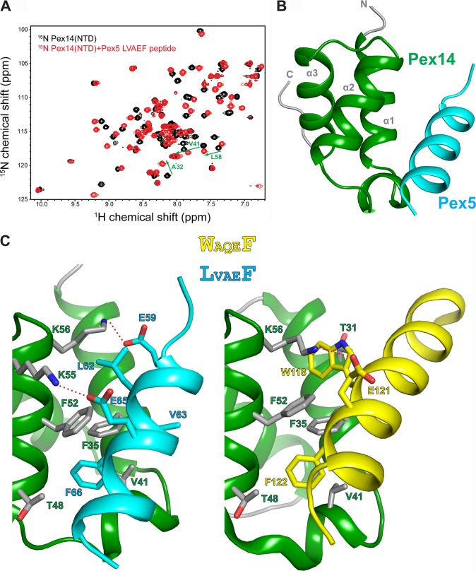 FIGURE 3.