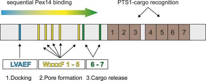 FIGURE 8.