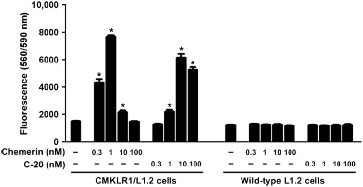 Fig. 4