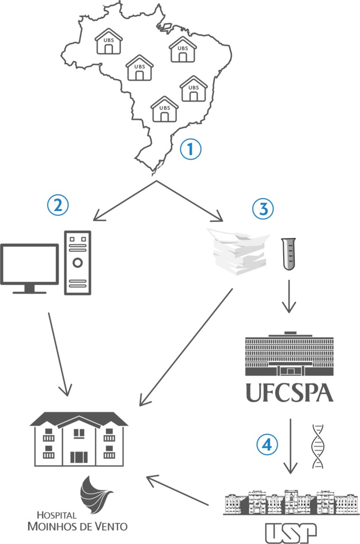 Figure 1