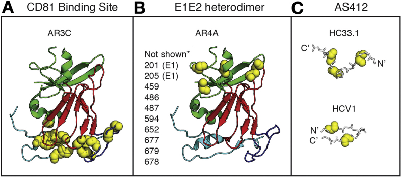 Figure 2