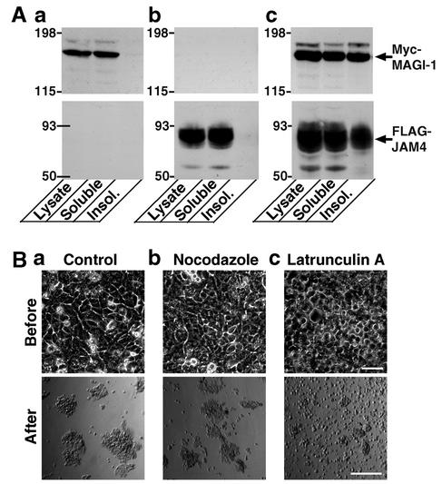 FIG. 9.