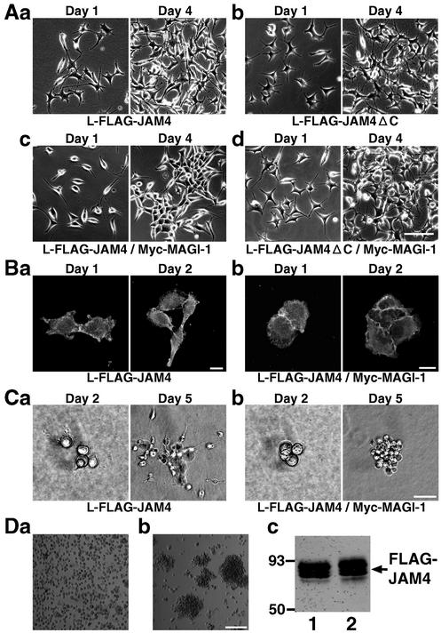 FIG. 8.