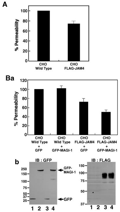 FIG. 10.