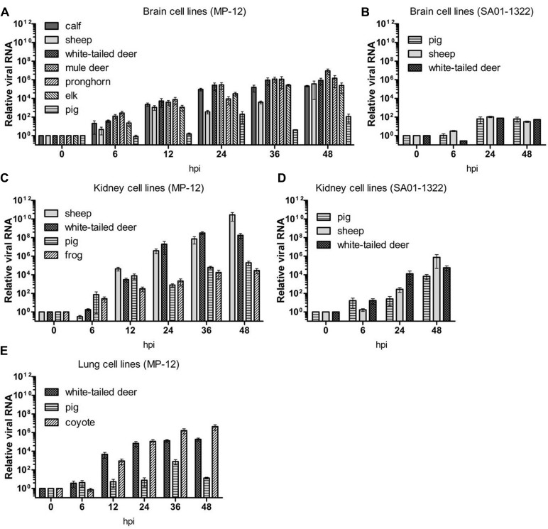 FIGURE 2