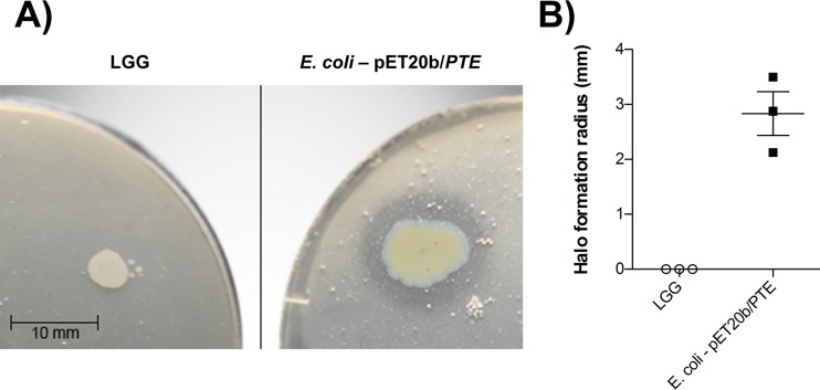 FIG 3