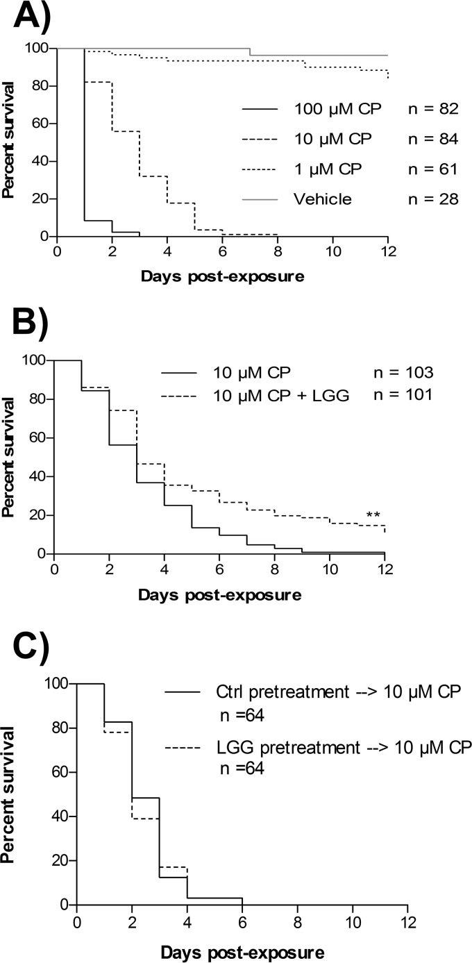 FIG 6