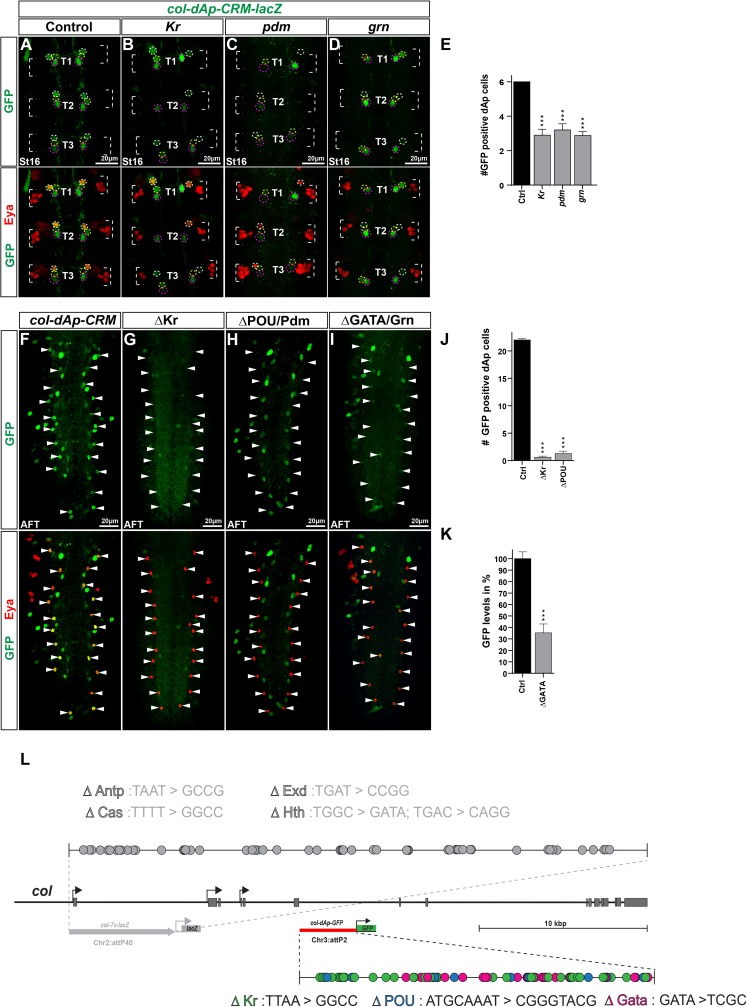 Fig 4