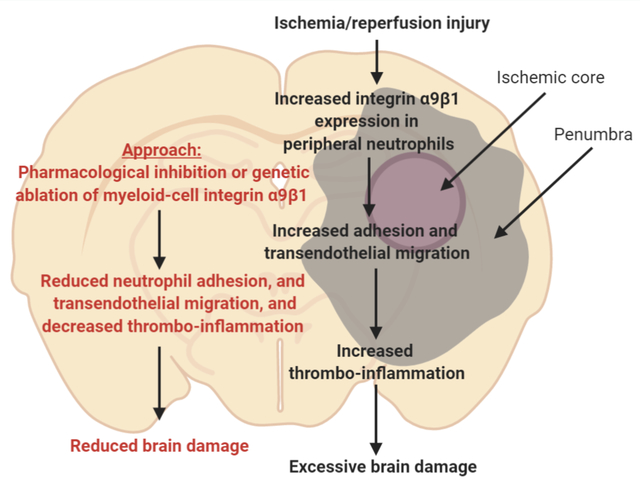 graphic file with name nihms-1579682-f0001.jpg