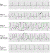 Fig. 6 |