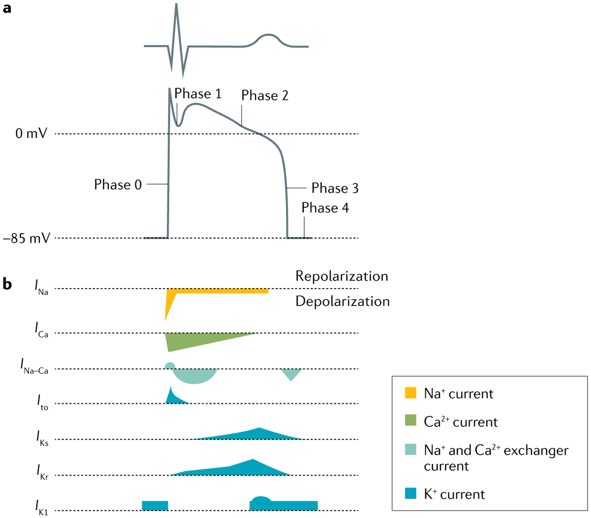 Fig. 3 |