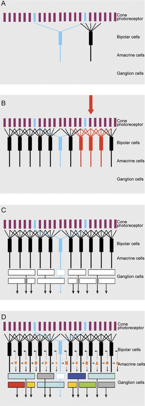 Figure 7A.