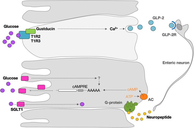 Fig. 3