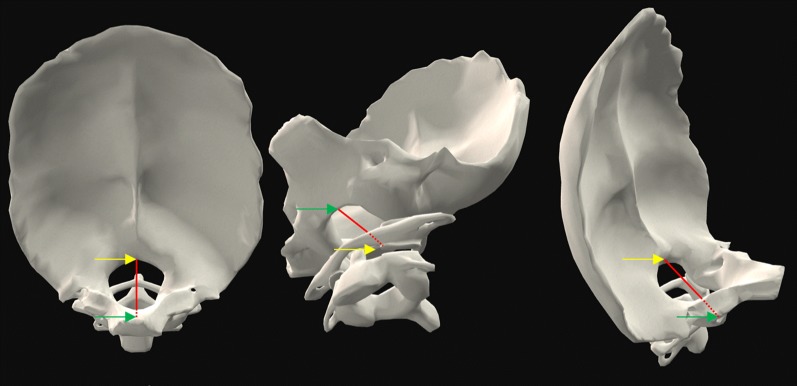 Fig. 5