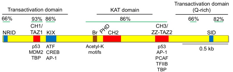 Fig. (2)