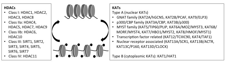 Fig. (1)