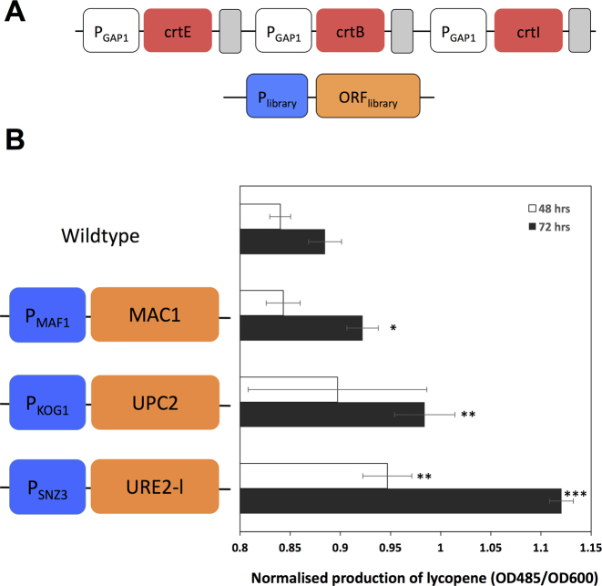 Figure 3.