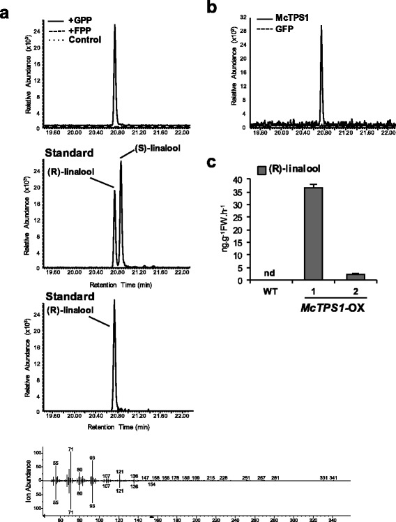 Fig. 7