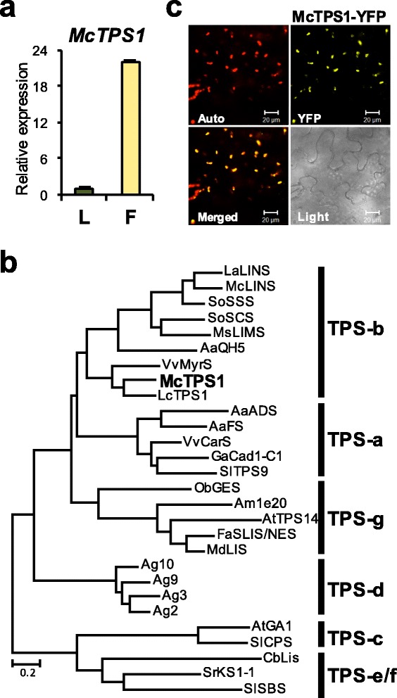 Fig. 6