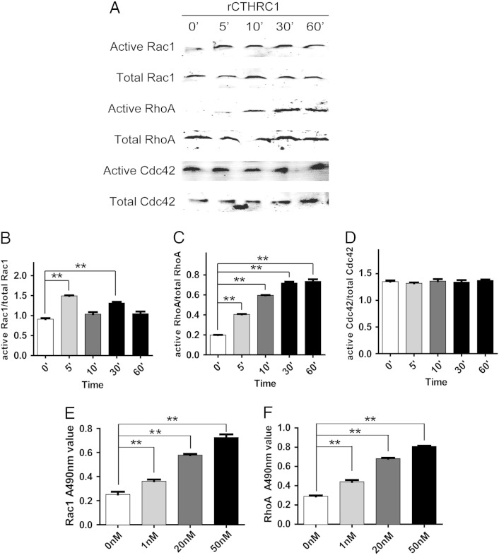 Figure 5