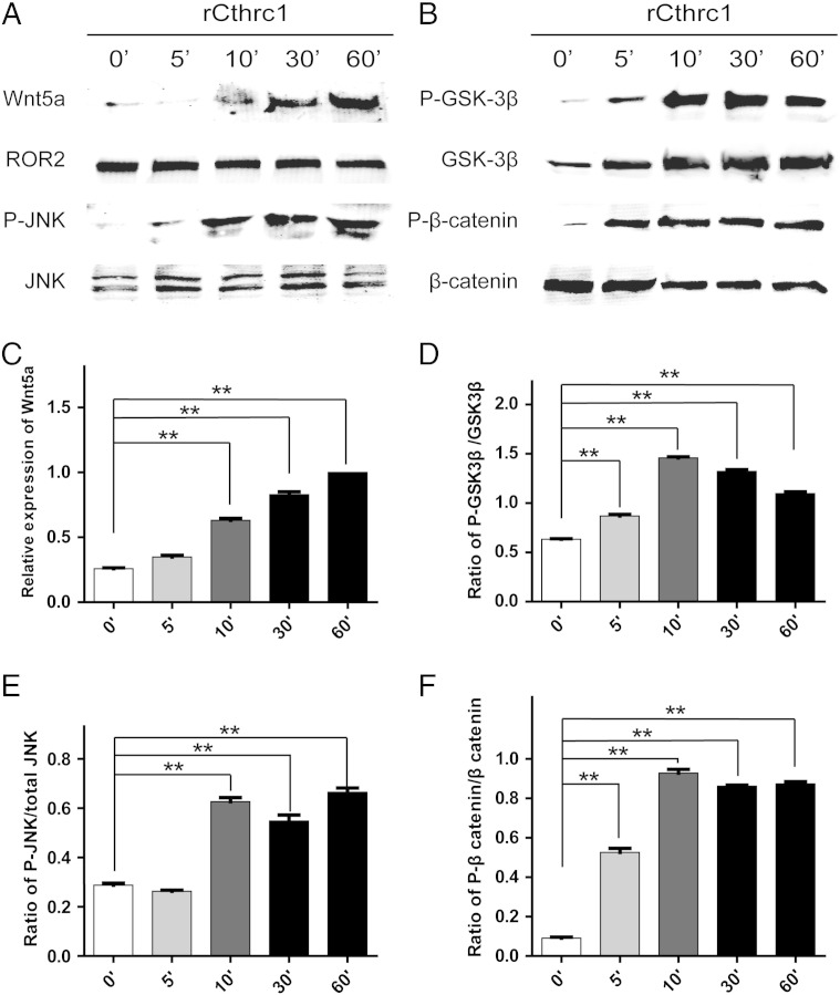 Figure 6