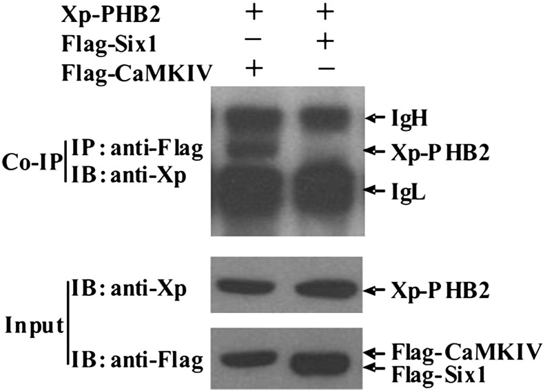 Fig. 2