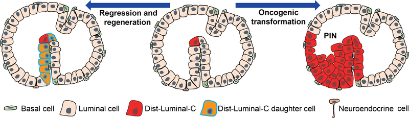 Figure 7 |