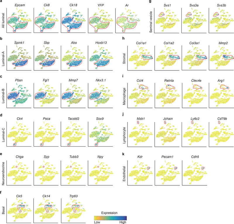 Extended Data Fig. 1 |