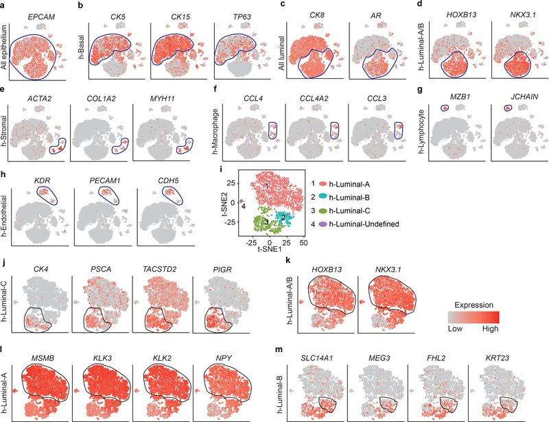 Extended Data Fig. 9 |