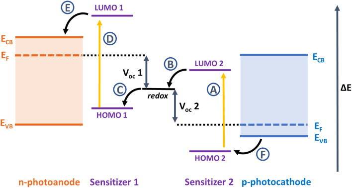 Fig. 1