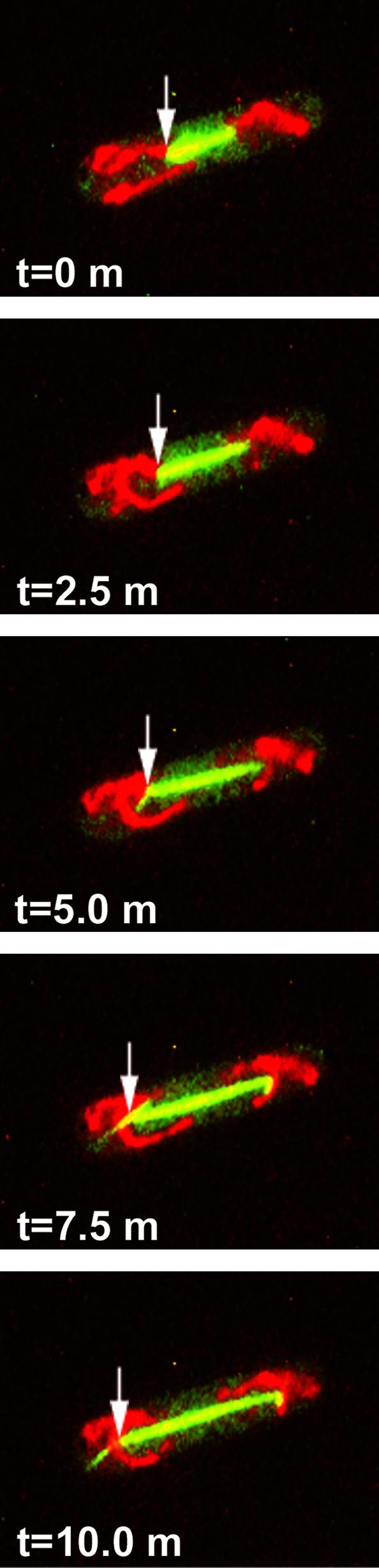 Fig. 4.