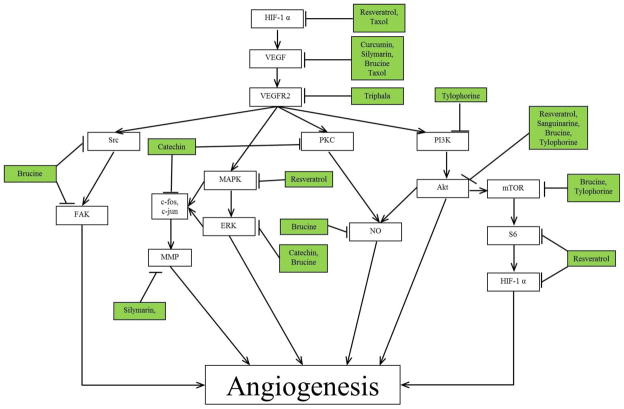 Fig.1