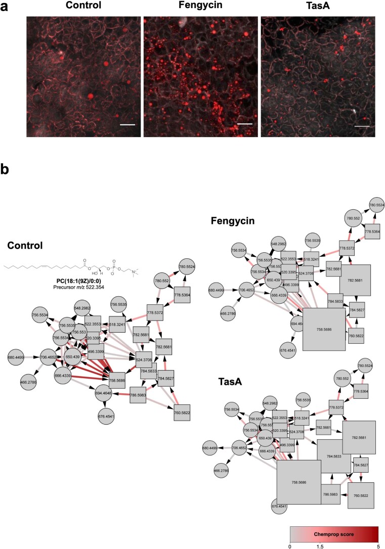 Extended Data Fig. 8