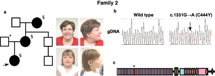 Figure  2. 