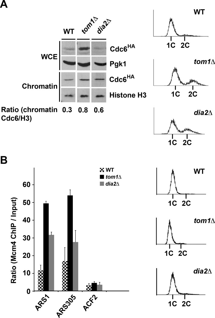 FIGURE 6.